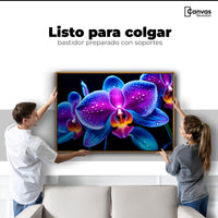 Cuadros Decorativos Canvas Revolution | Orquidea Radiante | Colgar