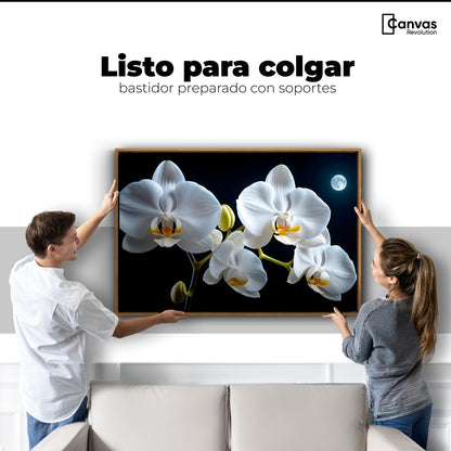 Cuadros Decorativos Canvas Revolution | Orquideas De Noche | Colgar