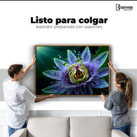 Cuadros Decorativos Canvas Revolution | Pasion Flor Eterna | Colgar