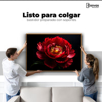 Cuadros Decorativos Canvas Revolution | Peonia De Noche | Colgar
