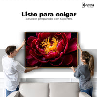 Cuadros Decorativos Canvas Revolution | Peonia Dualidad | Colgar