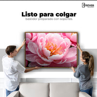 Cuadros Decorativos Canvas Revolution | Peonia Encanto | Colgar