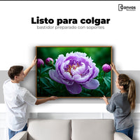 Cuadros Decorativos Canvas Revolution | Peonia Morada Viva | Colgar