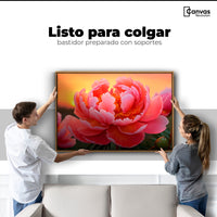 Cuadros Decorativos Canvas Revolution | Peonia Rosa Eterno | Colgar