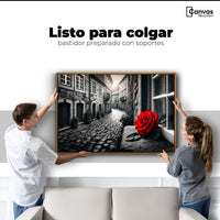 Cuadros Decorativos Canvas Revolution | Piedras Y Petalos | Colgar