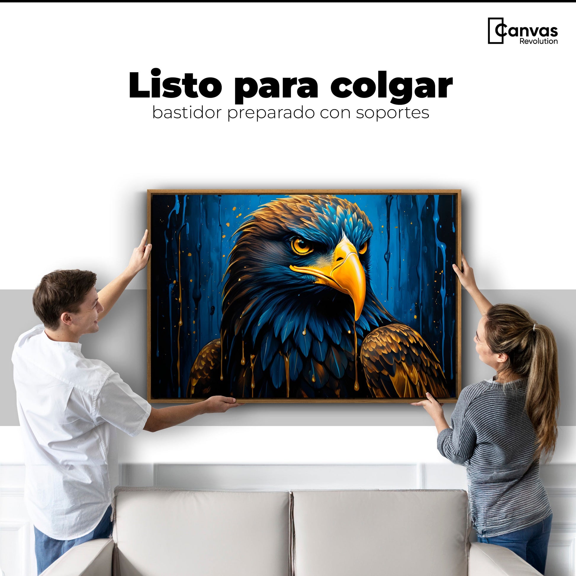 Cuadros Decorativos Canvas Revolution | Plumas Celestiales | Colgar