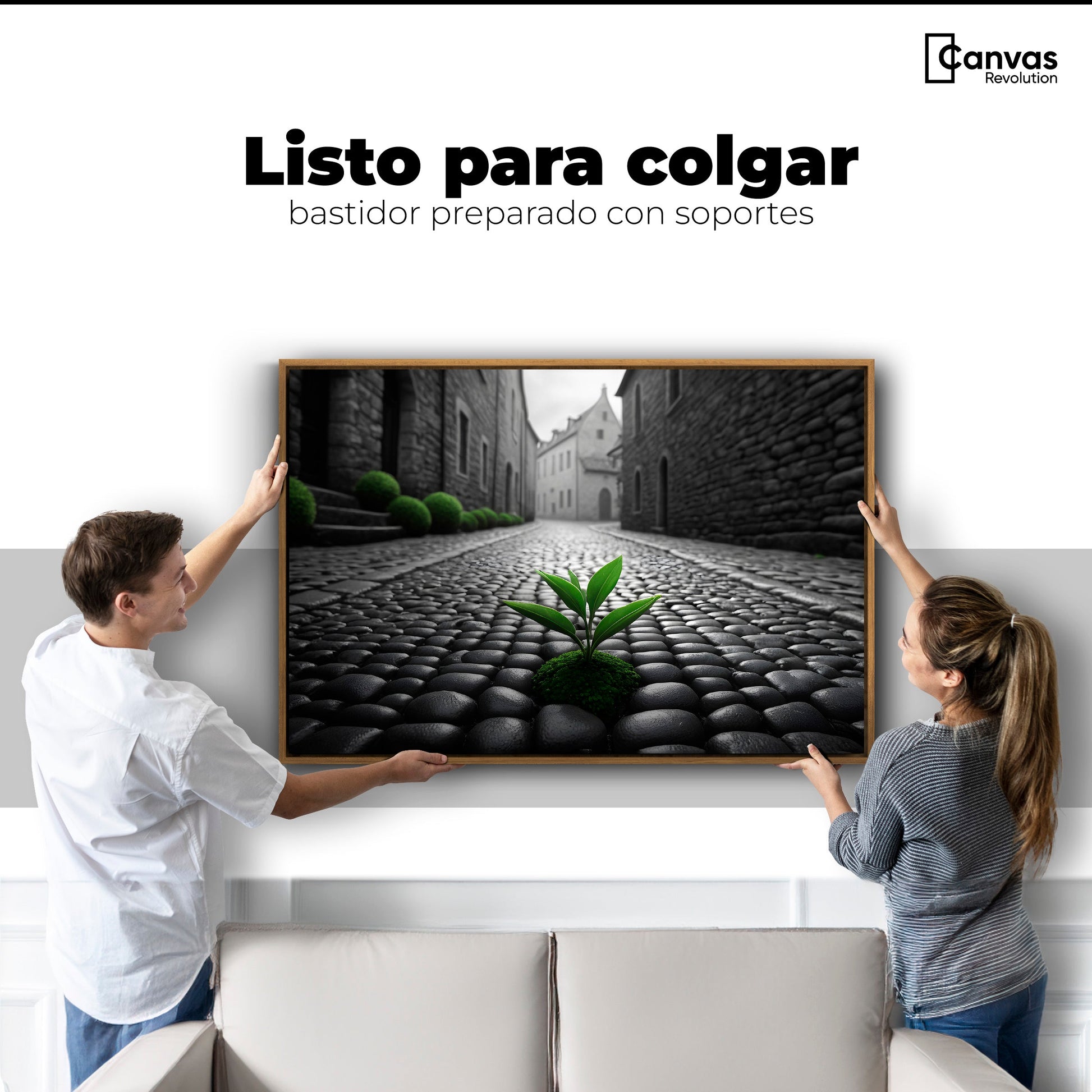 Cuadros Decorativos Canvas Revolution | Raices Urbanas | Colgar