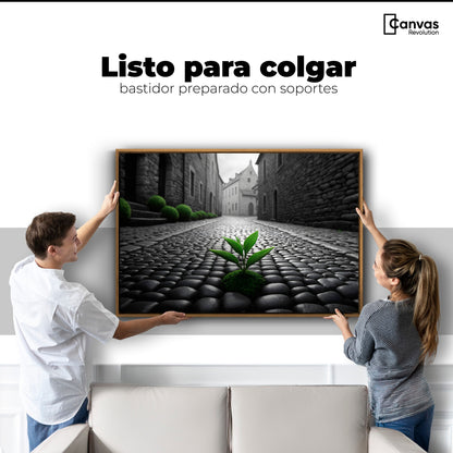 Cuadros Decorativos Canvas Revolution | Raices Urbanas | Colgar