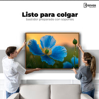 Cuadros Decorativos Canvas Revolution | Sueno De Amapolas | Colgar