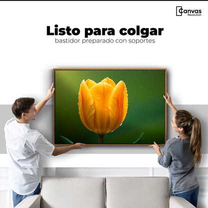 Cuadros Decorativos Canvas Revolution | Tulipan En Verde | Colgar