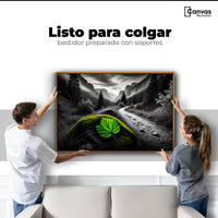 Cuadros Decorativos Canvas Revolution | Verde Silencio | Colgar