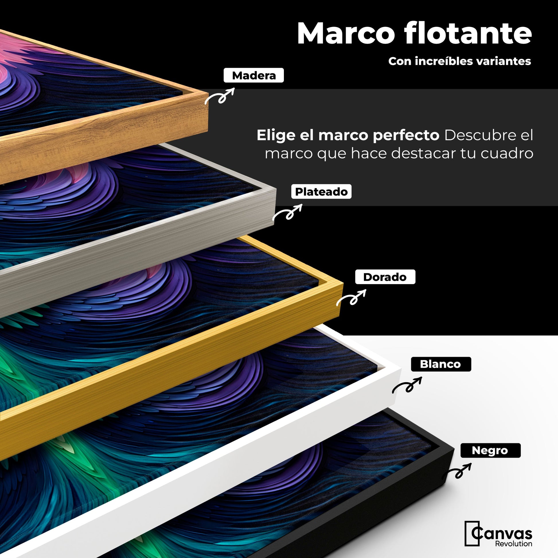 Cuadros Decorativos Canvas Revolution | Alas Angel Cosmic | ColoresMarco