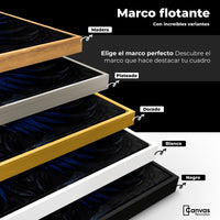Cuadros Decorativos Canvas Revolution | Alas Angel Cosmico | ColoresMarco