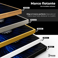 Cuadros Decorativos Canvas Revolution | Alas Angel Energia | ColoresMarco
