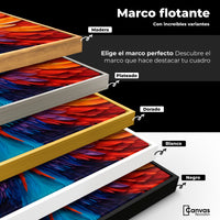 Cuadros Decorativos Canvas Revolution | Alas Angel Guardian | ColoresMarco