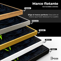 Cuadros Decorativos Canvas Revolution | Alas Angel Lucido | ColoresMarco