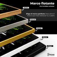Cuadros Decorativos Canvas Revolution | Alas Angel Radiante | ColoresMarco