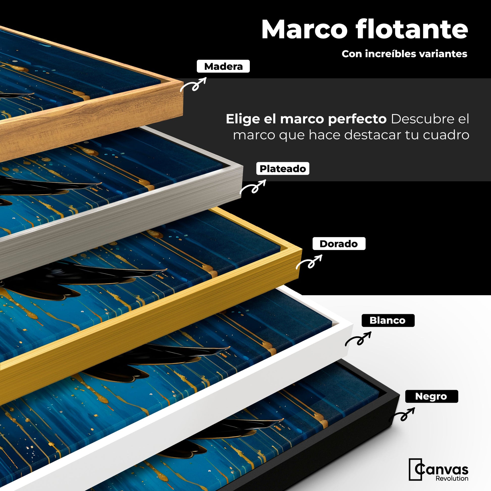 Cuadros Decorativos Canvas Revolution | Alas Celestiales | ColoresMarco