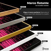 Cuadros Decorativos Canvas Revolution | Alas De Esperanza | ColoresMarco