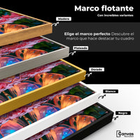 Cuadros Decorativos Canvas Revolution | Alas De Esplendor | ColoresMarco
