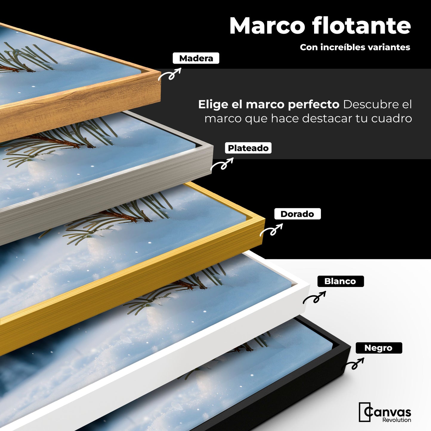 Cuadros Decorativos Canvas Revolution | Alas De Nieve | ColoresMarco