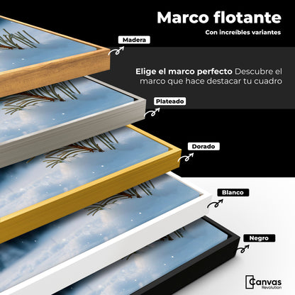 Cuadros Decorativos Canvas Revolution | Alas De Nieve | ColoresMarco