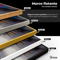 Cuadros Decorativos Canvas Revolution | Alas De Sueno | ColoresMarco