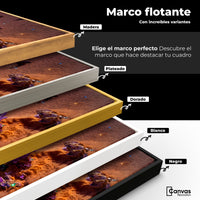 Cuadros Decorativos Canvas Revolution | Alas Del Desierto | ColoresMarco