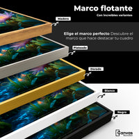 Cuadros Decorativos Canvas Revolution | Alas En El Rio | ColoresMarco
