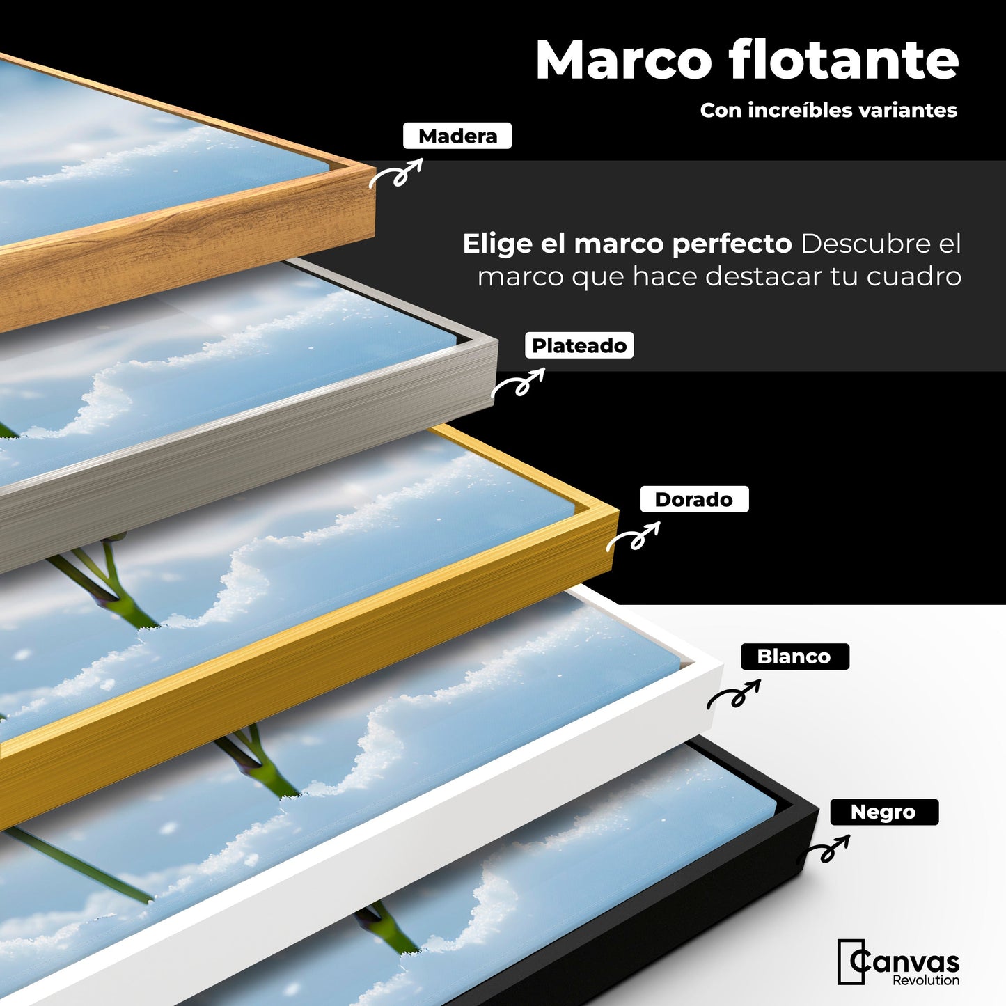 Cuadros Decorativos Canvas Revolution | Alas En Hielo | ColoresMarco