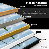 Cuadros Decorativos Canvas Revolution | Alas En Hielo | ColoresMarco