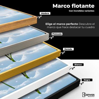 Cuadros Decorativos Canvas Revolution | Alas En Hielo | ColoresMarco