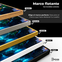 Cuadros Decorativos Canvas Revolution | Alas En La Noche | ColoresMarco