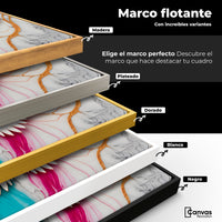 Cuadros Decorativos Canvas Revolution | Alas Fusion Color | ColoresMarco