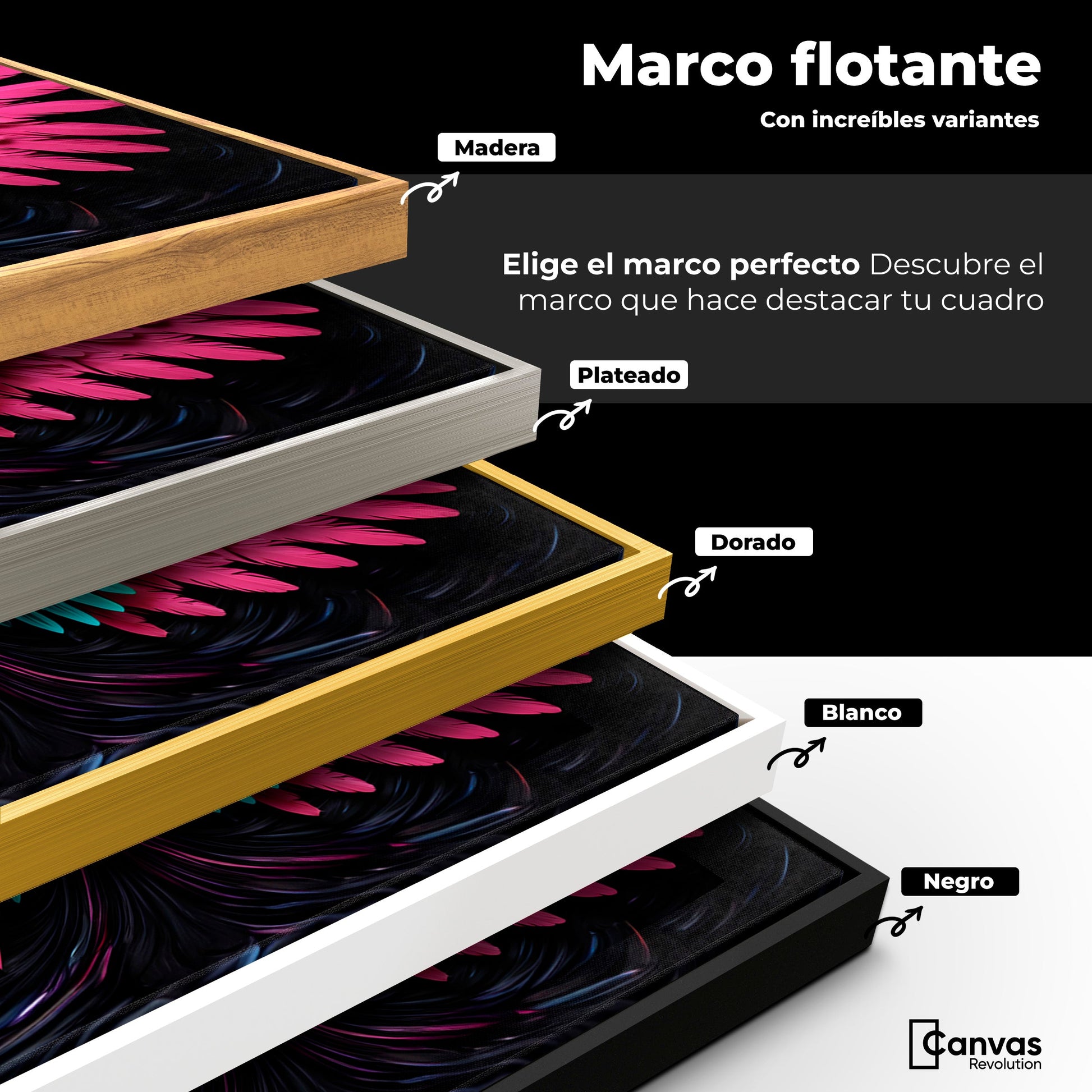 Cuadros Decorativos Canvas Revolution | Alas Luz Angeles | ColoresMarco