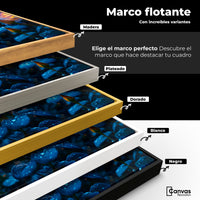 Cuadros Decorativos Canvas Revolution | Alas Nocturnas | ColoresMarco