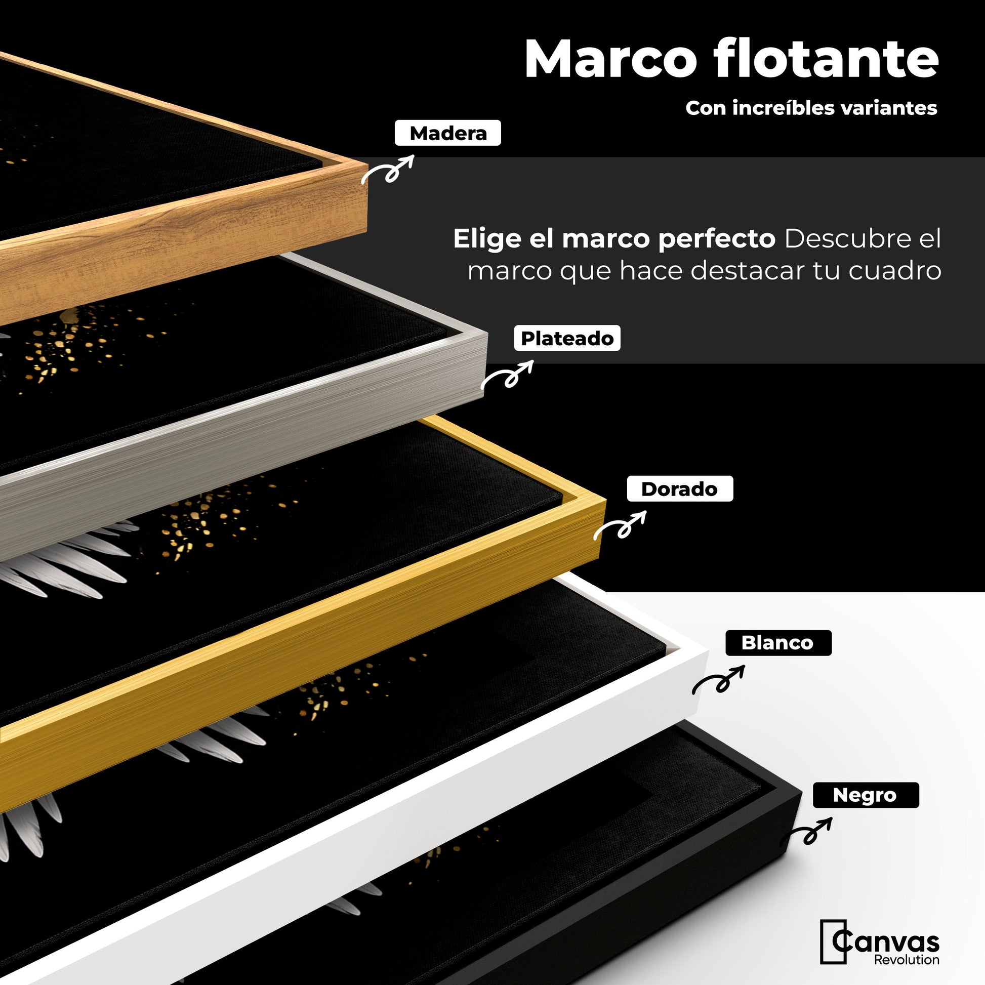Cuadros Decorativos Canvas Revolution | Alas Oro Negro | ColoresMarco
