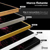 Cuadros Decorativos Canvas Revolution | Alas Rosadas Angel | ColoresMarco