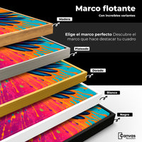Cuadros Decorativos Canvas Revolution | Aleteo Prismatico | ColoresMarco