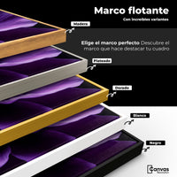 Cuadros Decorativos Canvas Revolution | Anemona Violeta | ColoresMarco