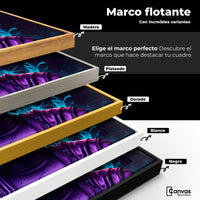 Cuadros Decorativos Canvas Revolution | Armonia Digital | ColoresMarco