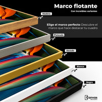Cuadros Decorativos Canvas Revolution | Ave De Paraiso Vivo | ColoresMarco
