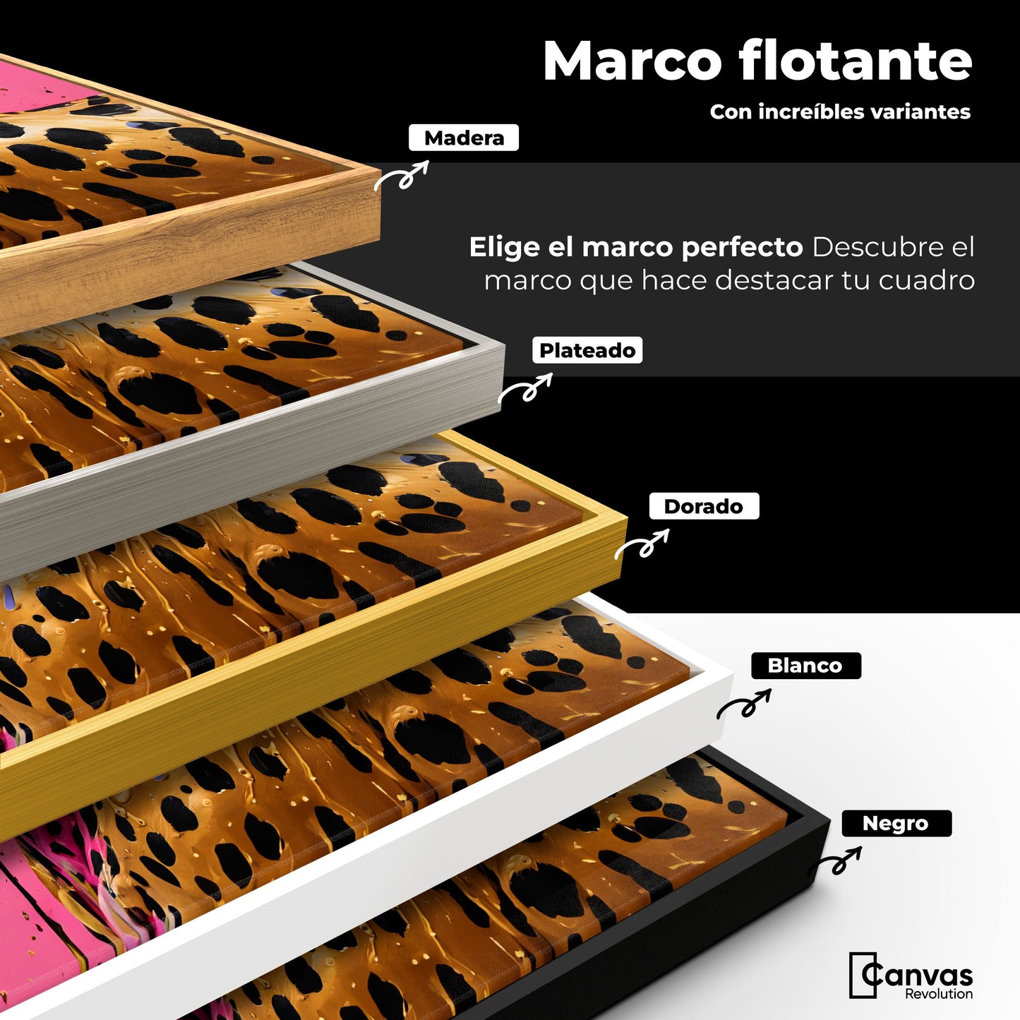 Cuadros Decorativos Canvas Revolution | Belleza Brillante | ColoresMarco