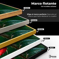 Cuadros Decorativos Canvas Revolution | Brillo Rosa Luz | ColoresMarco