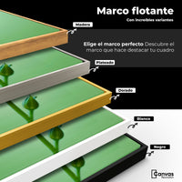 Cuadros Decorativos Canvas Revolution | Canto De Ranunculo | ColoresMarco