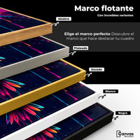 Cuadros Decorativos Canvas Revolution | Colibri Cromatico | ColoresMarco