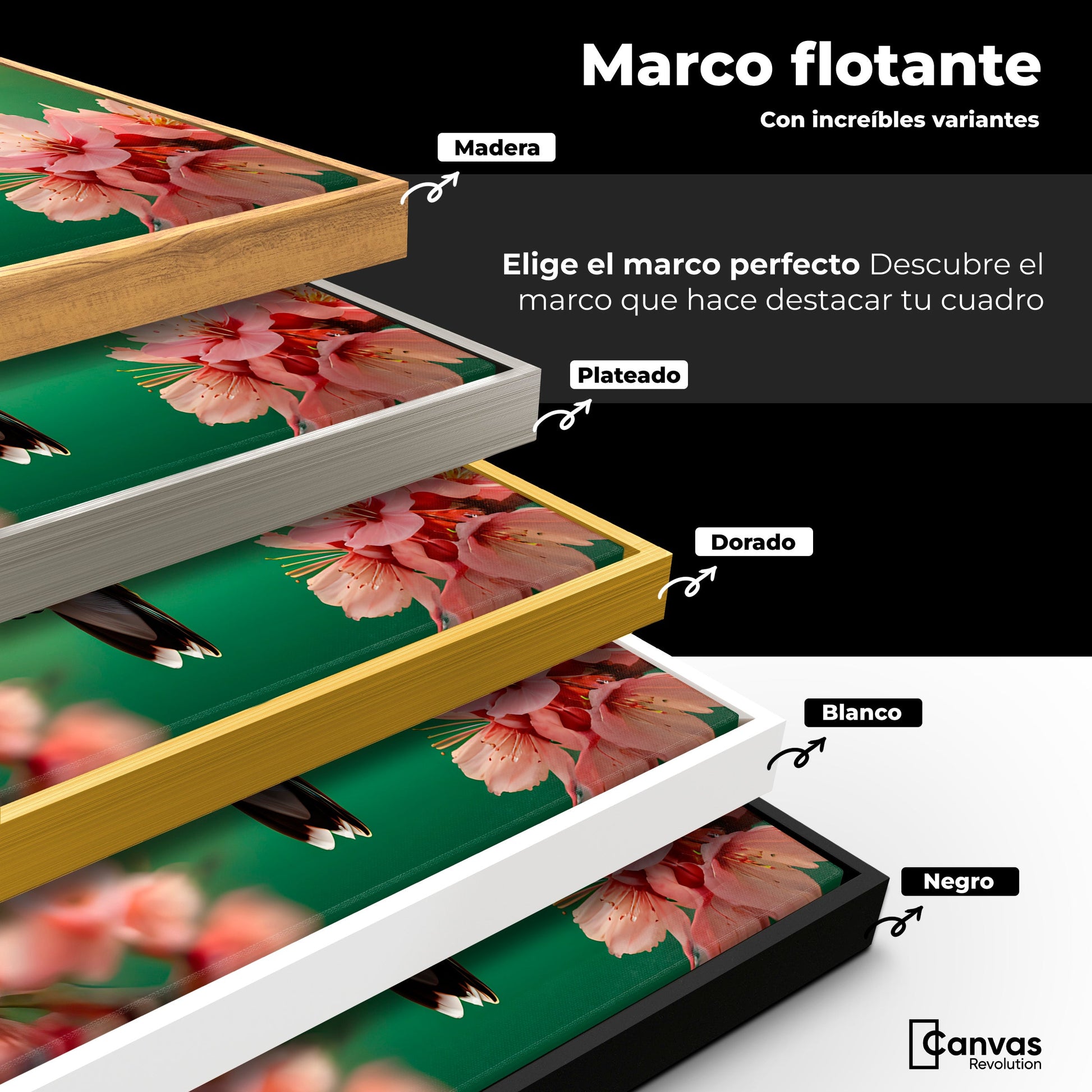 Cuadros Decorativos Canvas Revolution | Colibri Danza Flor | ColoresMarco