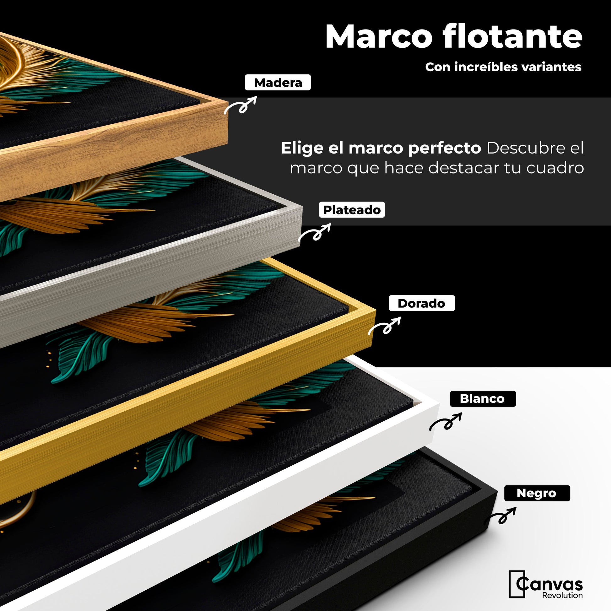 Cuadros Decorativos Canvas Revolution | Colibri Magico | ColoresMarco