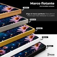 Cuadros Decorativos Canvas Revolution | Danza Brillante | ColoresMarco