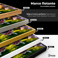 Cuadros Decorativos Canvas Revolution | Danza De Gemas | ColoresMarco